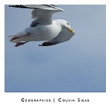 Cousin Silas - Geographics (Deluxe Edition)