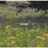oliviaway - novella