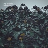 StÃ¼rtzer Martin - Autumn Tapes