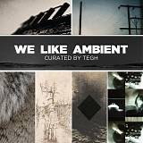 Various artists - We Like Ambient  Curated By Tegh