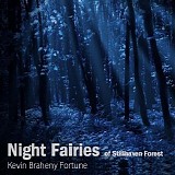 Braheny Kevin - The Night Fairies of Stillhaven Forest