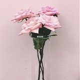 Oliviaway - Desire