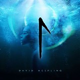 Helpling David - Rune