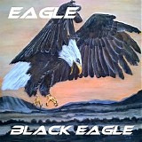 Eagle (Synth. Music) - Black Eagle