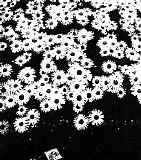 Outer Space - Boring Electronics Vol. 1 - Ocean Of Storms