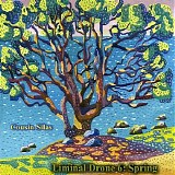 Cousin Silas - Liminal Drone 6 (Spring)