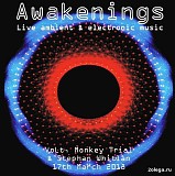 Various artists - Awakenings 17.03.2018
