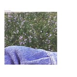 Oliviaway - Lavender