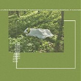 Oliviaway - Wild Tea
