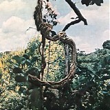 Celer & Forest Management - Landmarks