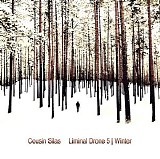 Cousin Silas - Liminal Drone 5 (Winter)