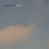 Bing Satellites - Treasure