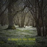 Tronestam Johan - A Voice In The Wind
