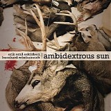 Eskildsen Erik Emil & Wostheinrich Bernhard - Ambidextrous Sun