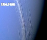 Eko Fisk - Neptune