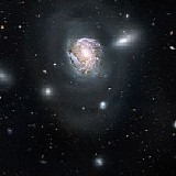 Cosmic Voyager - Life Forms