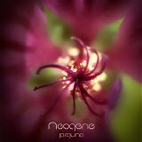 Jarguna - Neogene