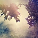 Purl - Violante (Lost In A Dream)