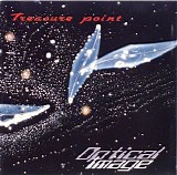 Optical Image - Treasure Point