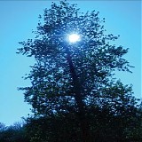 Ishq - Winter Light
