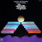 Gottsching Manuel - New Age Of Earth