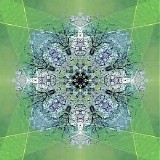 Blokzijl Gert - The Green Inspiration