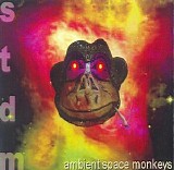 S.T.D.M. - Ambient Space Monkeys