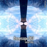 Cousin Silas - Dronescape 003