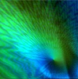 Tangerine Dream - Tangerine Leaves Vol.25