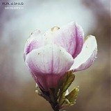 Purl & Sinius - Acceptance