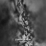 Syn - Fauni-Genus