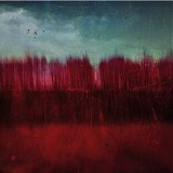 Boddy Ian & Reuter Markus - Colour Division