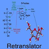 Retranslator - D-fructose