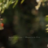 The Ambient Visitor - Whispers In The Wind