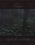 Faryus - Night Forest Reality