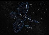 Lad - Cygnus