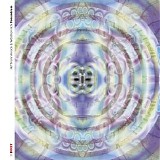 Hoffmann-Hoock & Wostheinrich - Conundrum