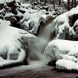 Cousin Silas - Snowline