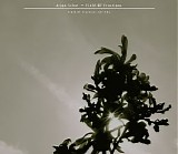 Schat Arjen - Field Of Fractions