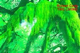 Carty Robert - The Living