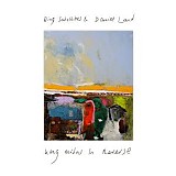 Bing Satellites & Land Daniel - King Midas In Reverse
