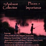 Various artists - The Ambient Collective - Places Of Importance