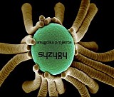 Amygdala Projects - Syzygy
