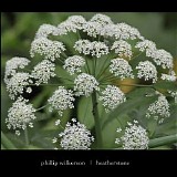 Wilkerson Phillip - Heatherstone