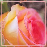 Grassow Mathias - The Fragrance Of Eternal Roses
