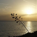 Wiese Klaus - Iremia