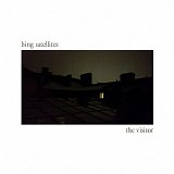 Bing Satellites - The Visitor