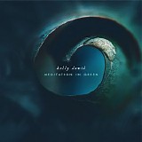 David Kelly - Meditation In Green