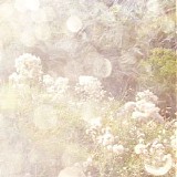 Poemme - Moments In Golden Light
