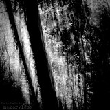 Their Teeth to Points - Memoryless